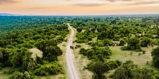 Mweya-Safari-Lodge-banner