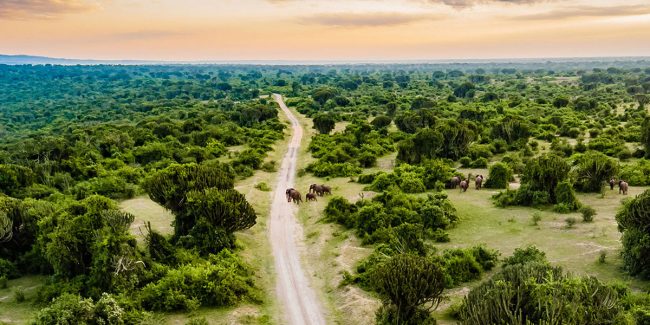 Mweya-Safari-Lodge-banner