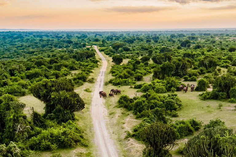 Mweya-Safari-Lodge-banner