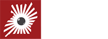 Uganda Convention Bureau